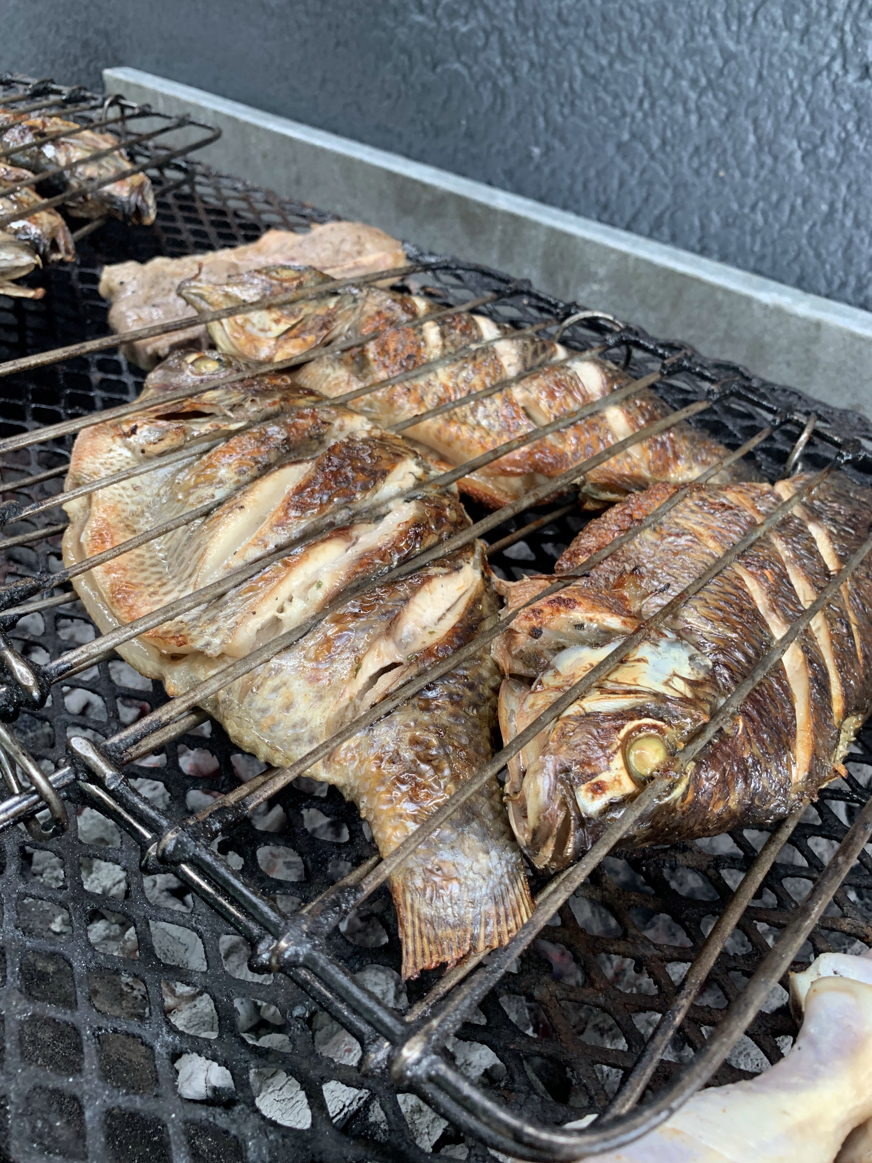 Grilled fish